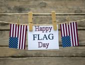 
  National Flag Day image